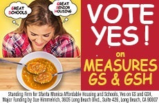 2016 Election Baanner ad for Yes on GS and GSH