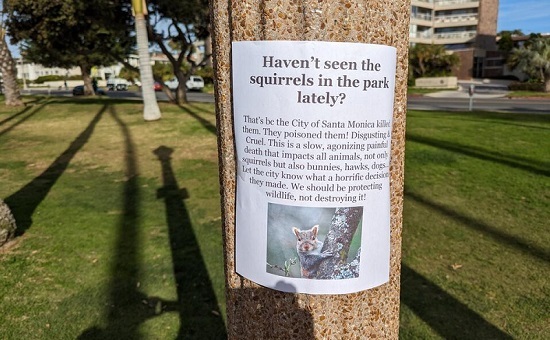 Squirrel poster in Palisades Park